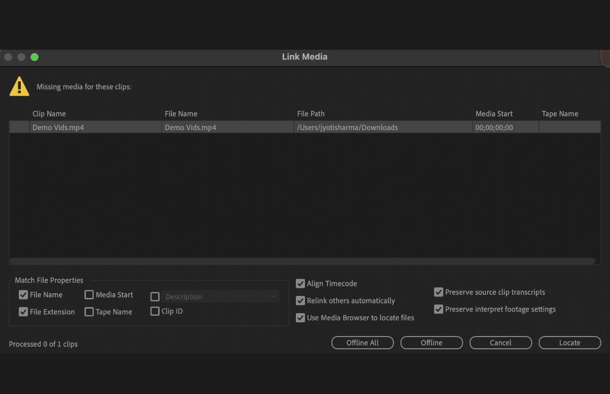 Actual Premiere Pro Link Media dialog, filenames and paths anonymized